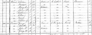 The Page from the 1871 Census