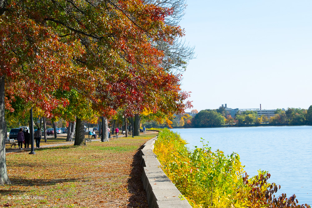 Pawtucket Boulevard in Lowell's Pawtucketville neighborhood