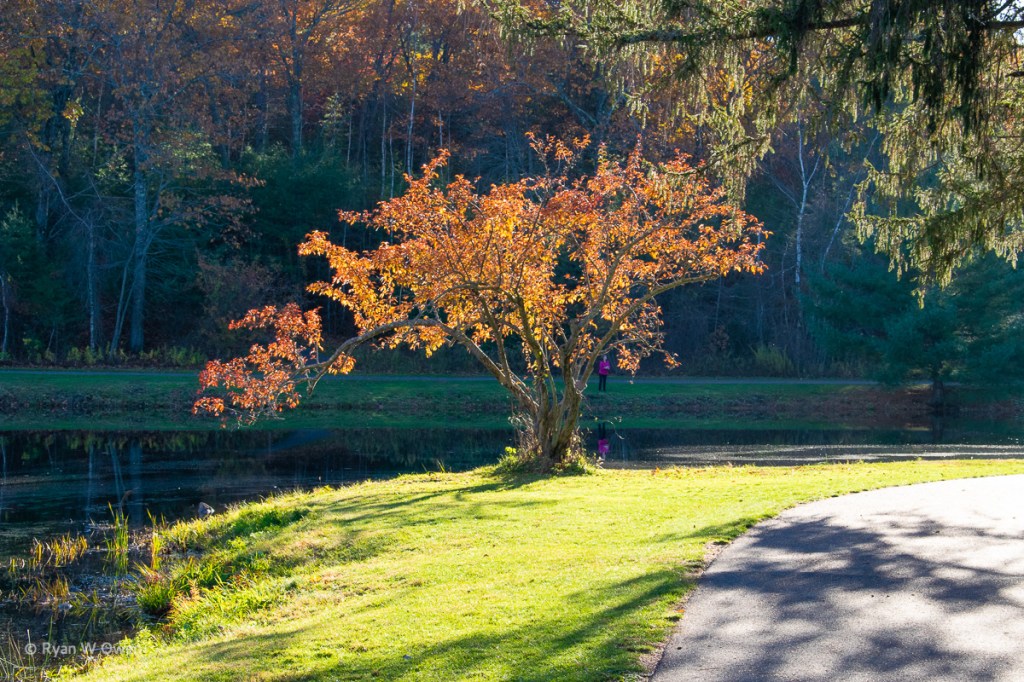 Benson Park Walking Trails